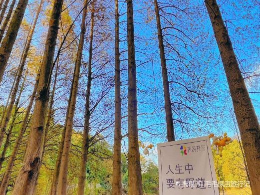 九江天花井国家森林公园