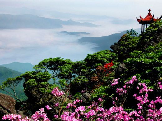 崇义阳明山国家森林公园