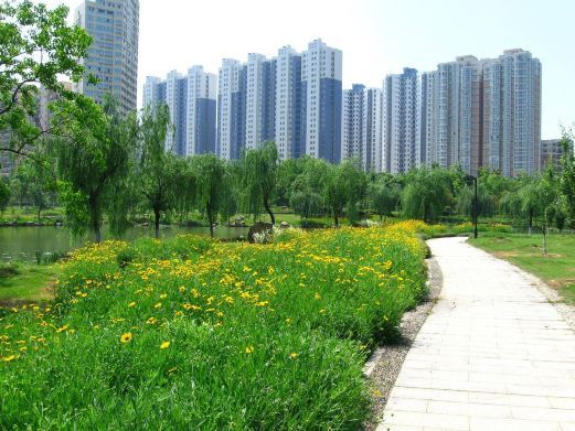 吉安古后河绿廊