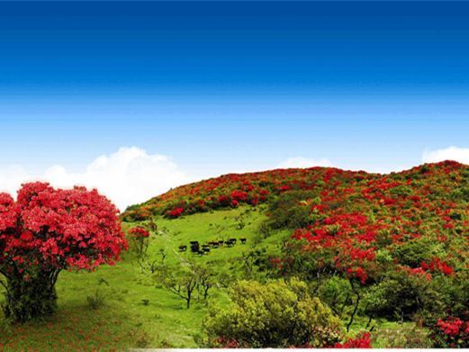 石城八卦脑景区