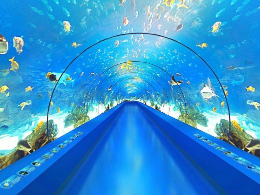瑞金九丰极地海洋世界