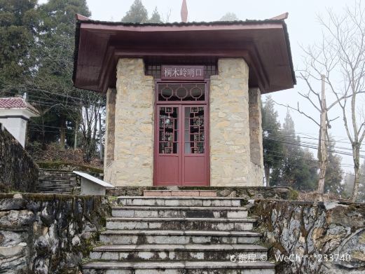 井冈山桐木岭