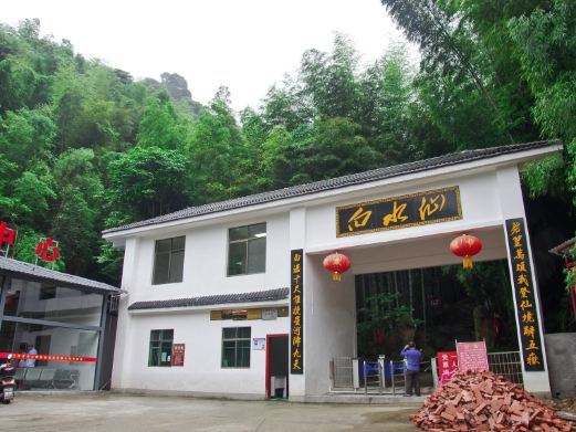 遂川白水仙