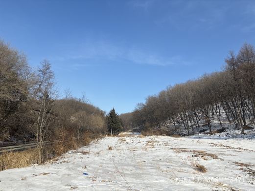 吉林市鸡冠山