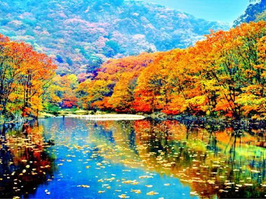 凤城蒲石河森林公园