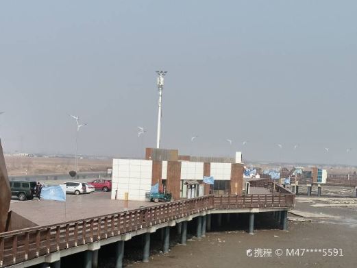 兴城红海滩