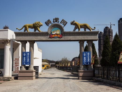 大连狮虎园