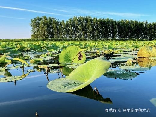 新民小西湖