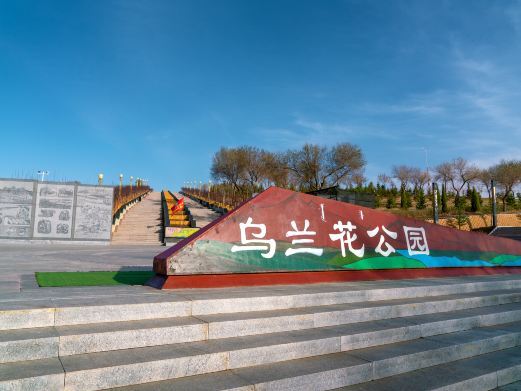 四子王旗乌兰花公园