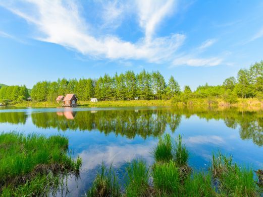 根河贮木场