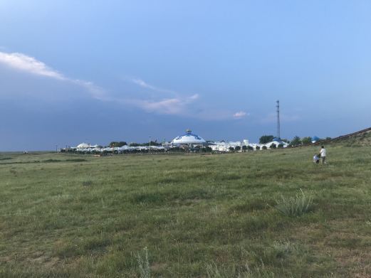 鄂托克旗西鄂尔多斯珍稀植物自然保护区
