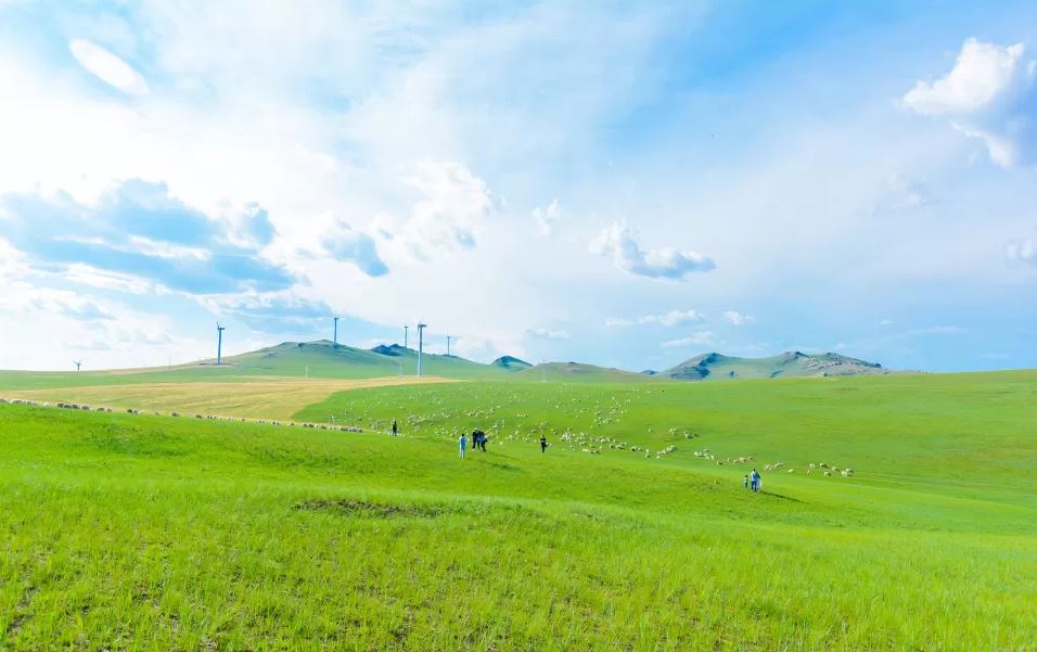 陈巴尔虎旗呼和诺尔景区娱乐项目体验区-赛马场