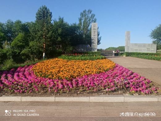 满洲里西山植物园