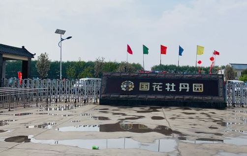 菏泽国花牡丹园
