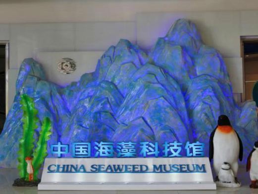 青岛明月海藻世界