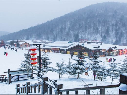 青岛北国林海雪乡