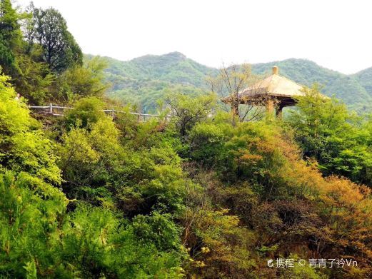 壶关紫团山风景区