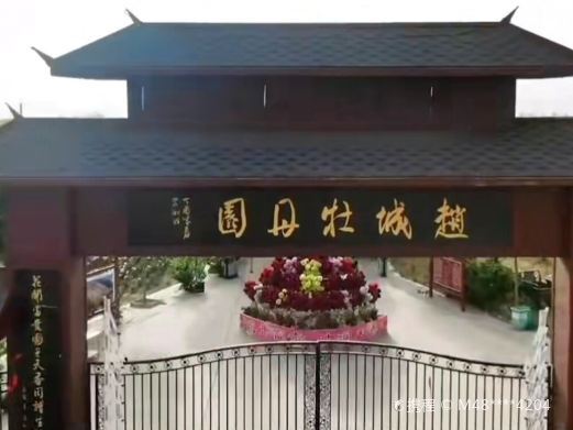 洪洞赵城牡丹园