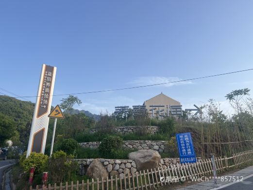 蓝田荞麦花海