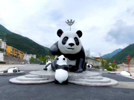 汉中佛坪大熊猫保护区