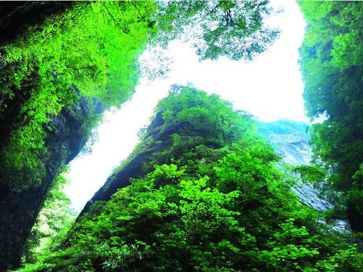 商南金丝峡景区