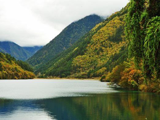 九寨沟犀牛海