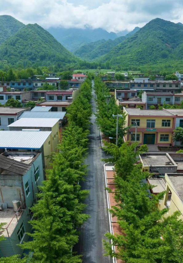 西安唐旗寨村