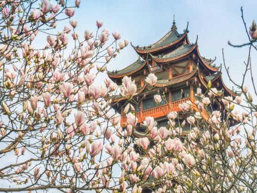 成都九天楼