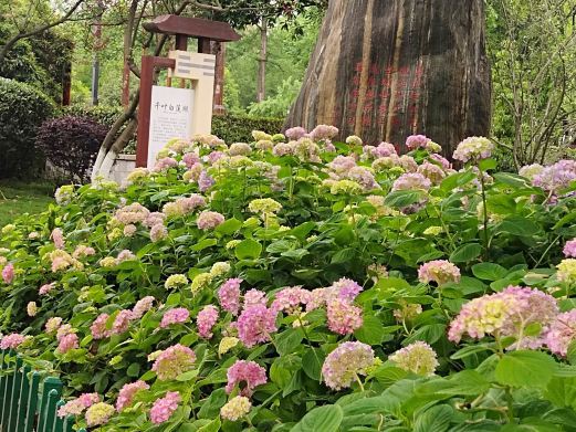 眉山江口古镇
