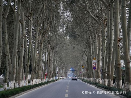 崇州重庆路
