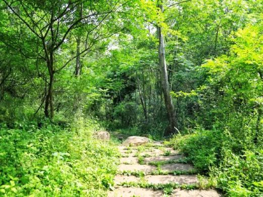 剑阁先秦古蜀道