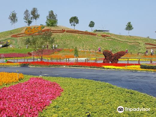 台中后里花田拼布公园