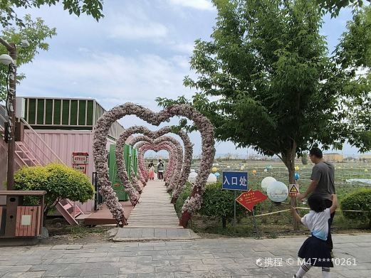 乌鲁木齐亚心花海主题乐园