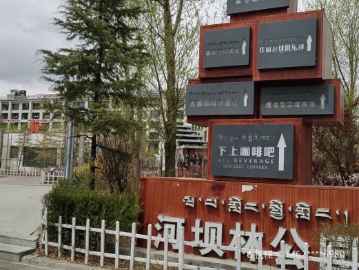 拉萨河坝林公园