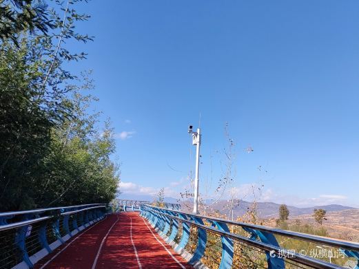 大理市洱海玉白菜湿地公园