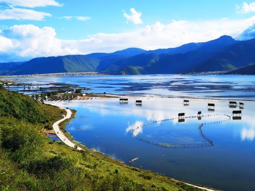 香格里拉纳帕海(依拉草原)