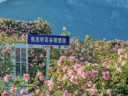 玉龙听花谷-丽江百花园