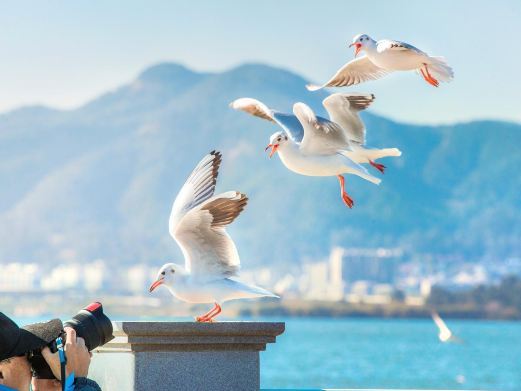 昆明海埂公园