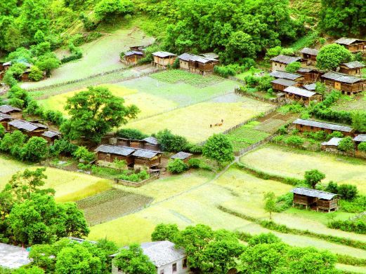 贡山秋那桶村