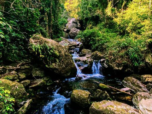 保山百花岭生态旅游区