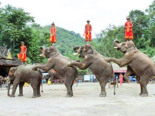 勐海曼磊佛塔