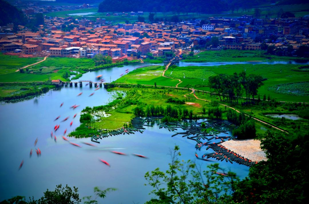 丘北诺香玫瑰园