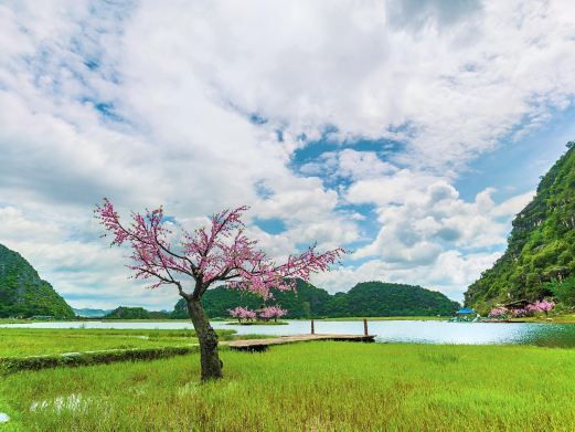 丘北菜花箐苗族生态旅游村