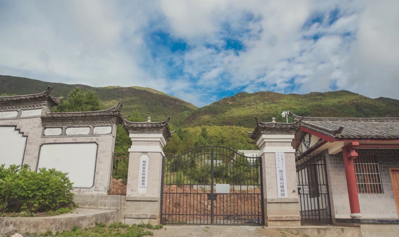玉龙丽江高山植物园