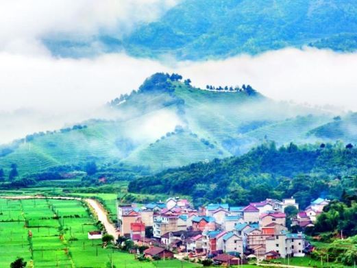 江山浮盖山