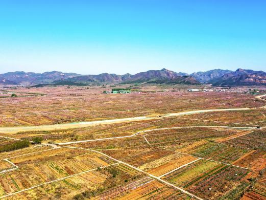 北京桃花海
