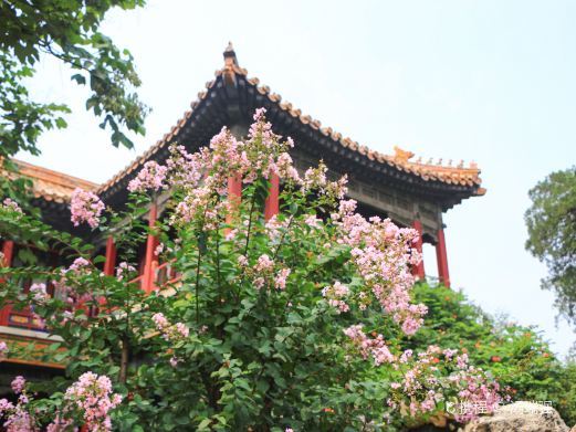 北京钦安殿
