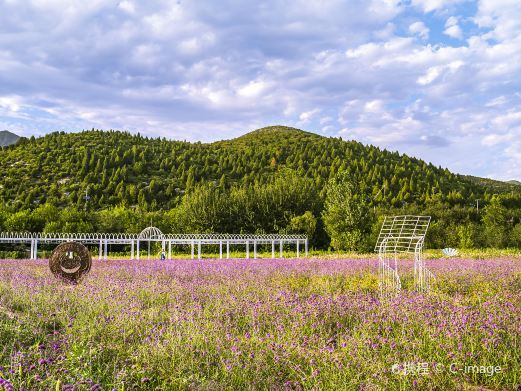 北京门头沟百花山自然保护区