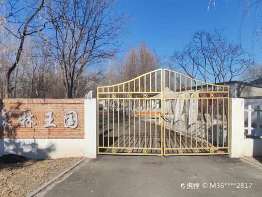 北京森林王国亲子乐园