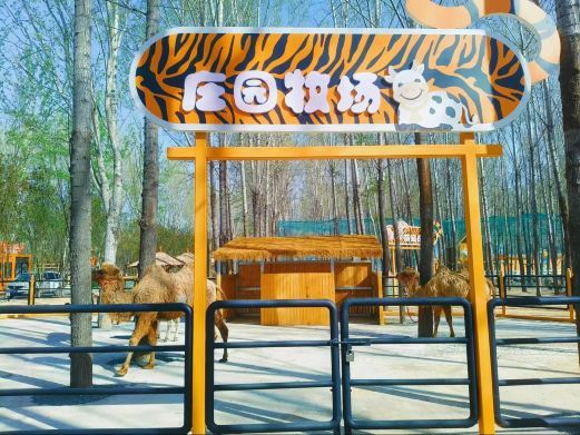 北京顺义虎乐园